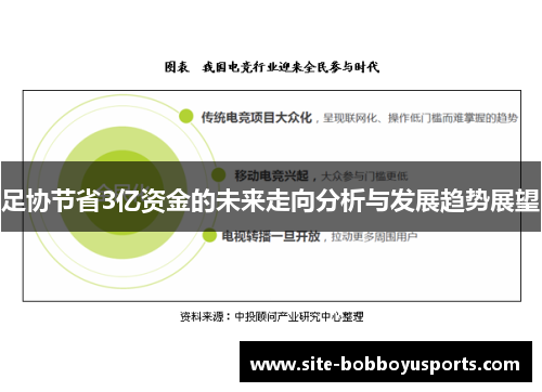 足协节省3亿资金的未来走向分析与发展趋势展望