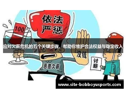 应对欠薪危机的五个关键步骤,帮助你维护合法权益与稳定收入