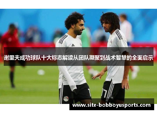 谢里夫成功球队十大标志解读从团队凝聚到战术智慧的全面启示