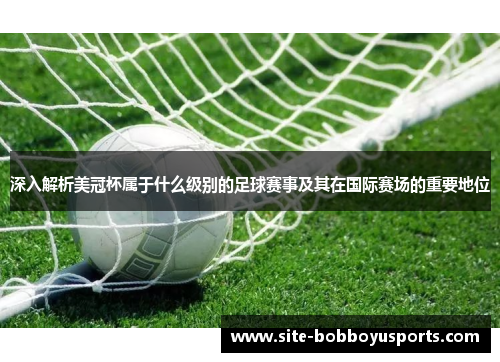 深入解析美冠杯属于什么级别的足球赛事及其在国际赛场的重要地位